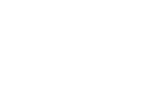AD SECURITY logo